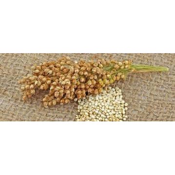 Hạt quinoa/ Diêm mạch hữu cơ 500g MARKAL BIO