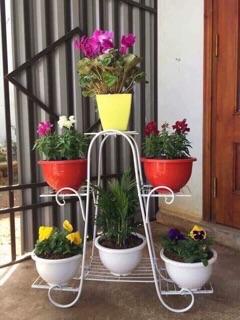 Kệ sắt 6 tầng trưng bày hoa