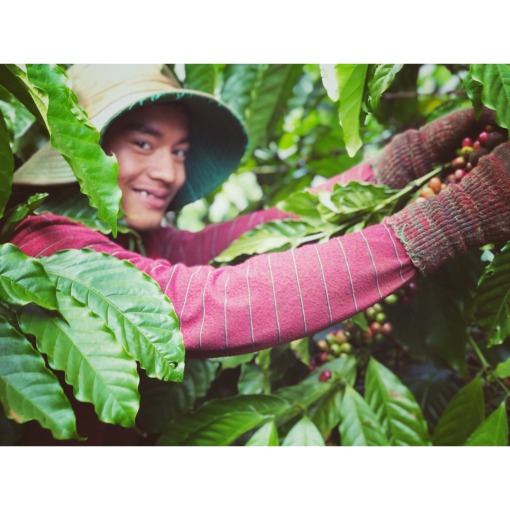 Cà phê rang xay nguyên chất Fresh Up 500g - Rang Medium light - Everything Store Coffee | BigBuy360 - bigbuy360.vn