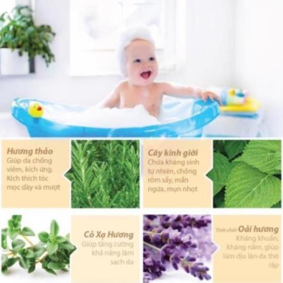 Sữa Tắm Gội Wesser 2in1 3 Mùi loại 200ml, 500ml