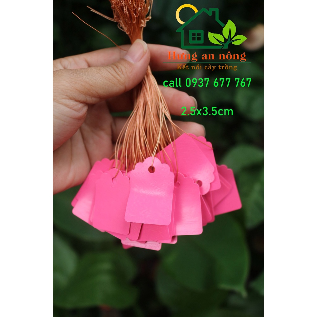 Set 100 thẻ treo kèm sẵn dây dùng ghi nhớ tên giống cây trồng - size 2.5x3.5cm, 3x4.5cm, 4x6cm, 5x7cm