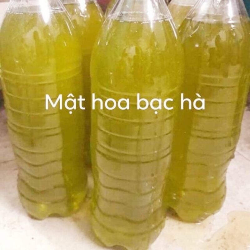 Mật ong bạc hà xịn Hà Giang lọ 100ml