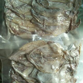 15 con mực khô mini y hình