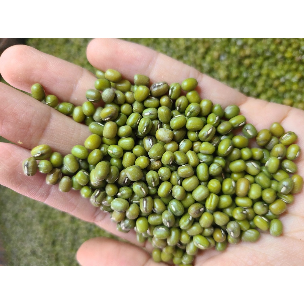 Đậu xanh hột nấu chè - hút chân không