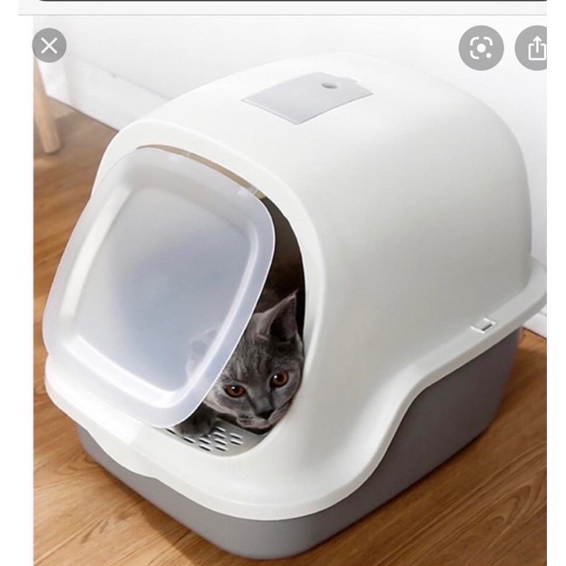 Nhà vệ sinh cho mèo dễ tháo lắp và tặng kèm xẻng