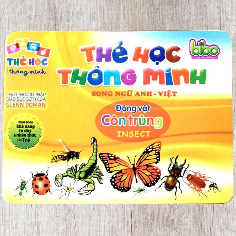 ( Size Lớn ) Thẻ Học Thông Minh Song Ngữ Anh Việt Chủ Đề Các Loại Qủa