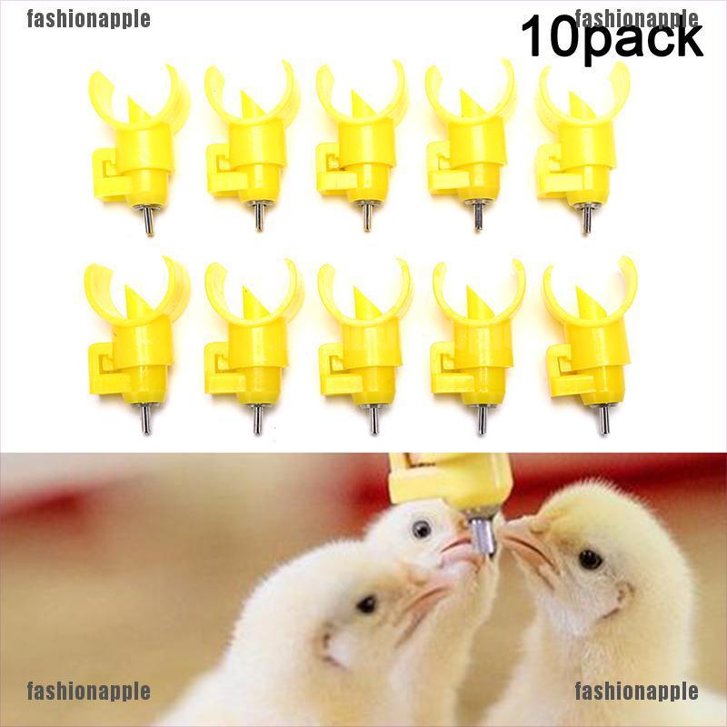 FAVN Bless 10 pcs Chicken waterer Poultry feed Chicken drinking Bird Pigeon Feeding Ball Glory