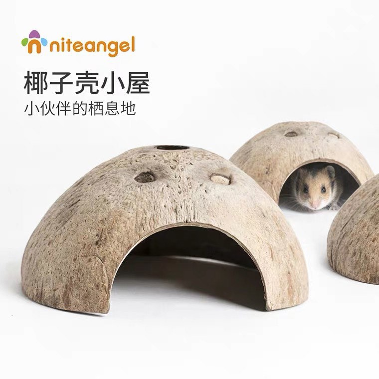 ( 2 TẶNG 1 )nhà gáo dừa cho hamster / chim / sóc / bò sát