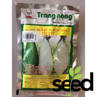 100G - Hạt Giống Bắp Nếp Nù