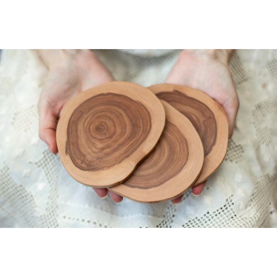 🌵Lát Gỗ 10-15cm Decor, Chụp Hình, Lót Đồ Ăn🪵