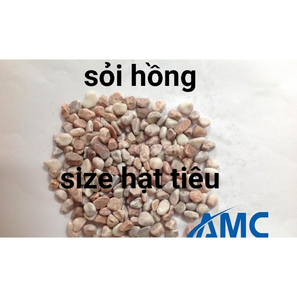 Nhiều màu - Nhiều size ] Đá sỏi trang trí sân vườn , hồ cá, HỒ THỦY SINH, BỂ CÁ