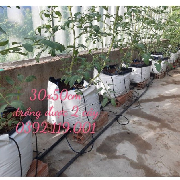 1 kg túi pe 30x50 trồng cây trồng rau siêu bền siêu chịu nhiệt