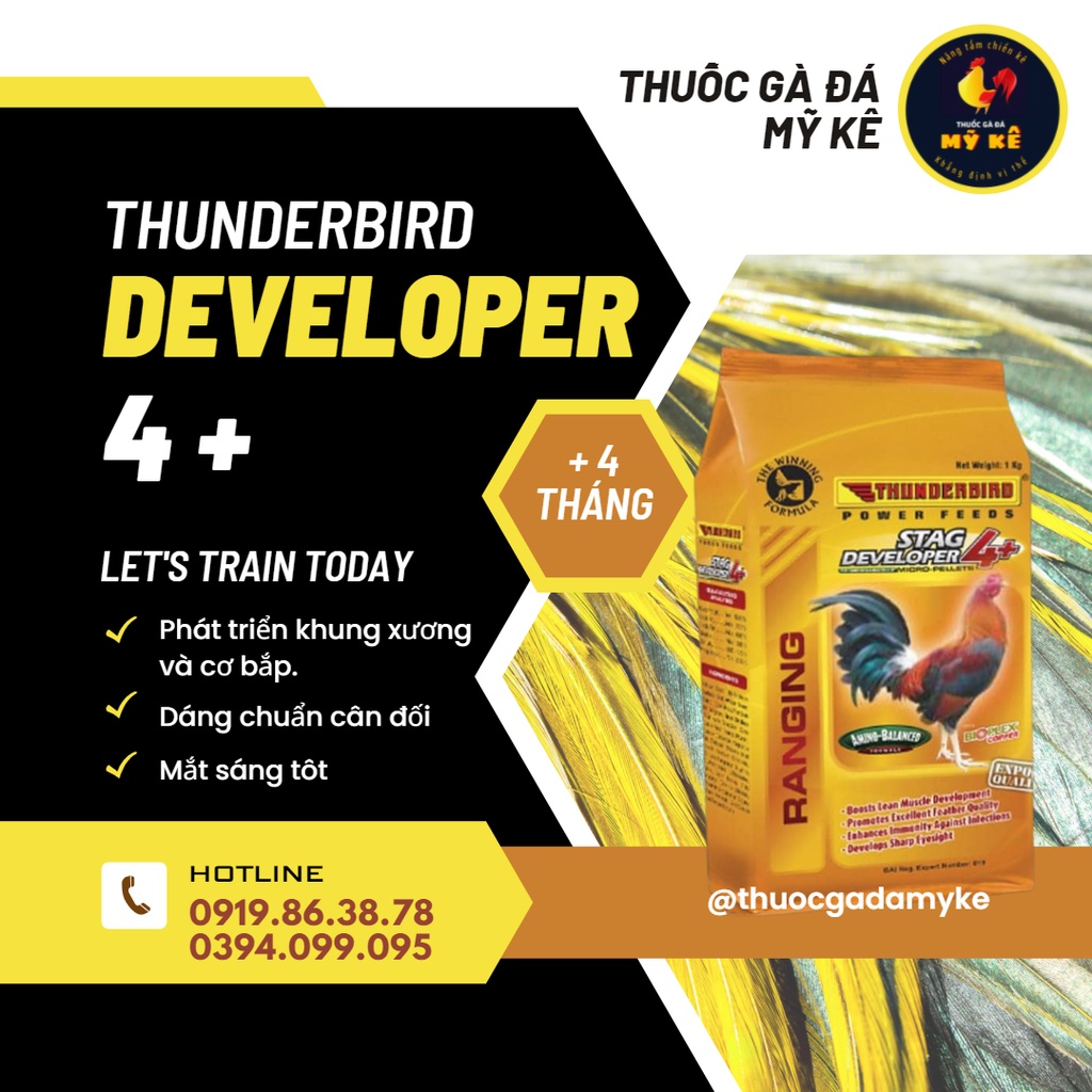 Thức ăn gà con từ 4 tháng tuổi Thunderbird Developer 4+ túi 1kg