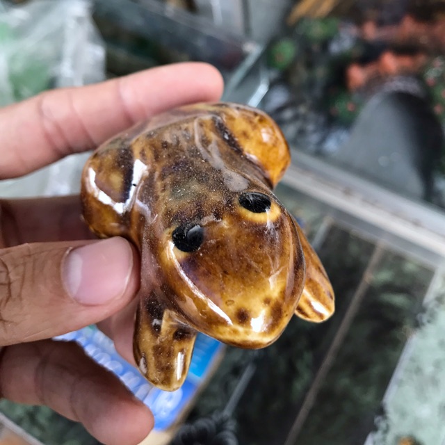 ẾCH NỔI TRANG TRÍ HỒ CÁ NON BỘ 5CM