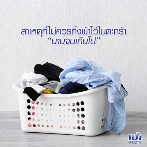 Bột Giặt Pao Soft NanoTech 900g Thái Lan [Hồng]