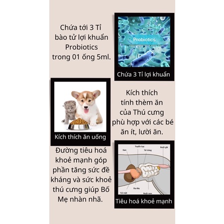 Men vi sinh tăng sức đề kháng và kích thích ăn Chó Mèo [1 Ống]