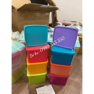 Bộ hộp ngăn mát TUPPERWARE 9 món [Hàng Chính hãng]