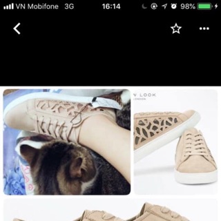 Giày newlook