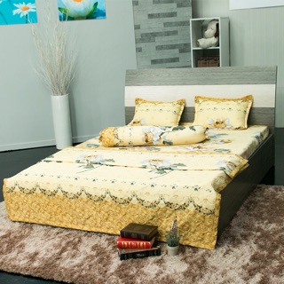 Combo 2 mền chần gòn ( dày dặn)