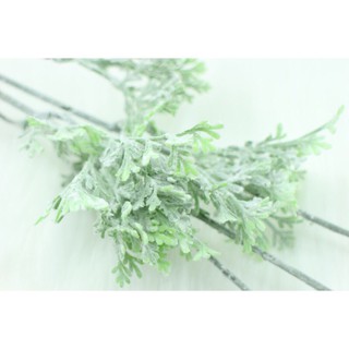 Cành hoa lavender tím thân mốc siêu đẹp