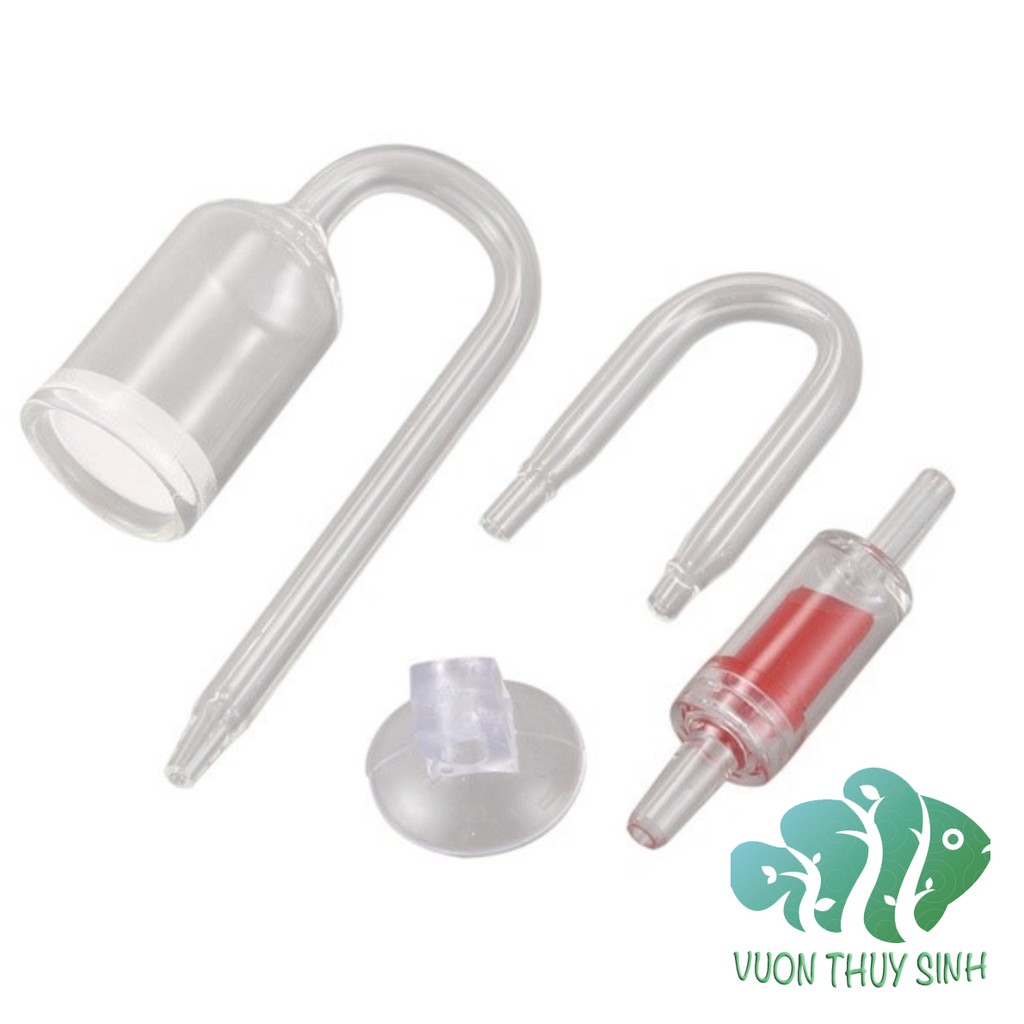 Cốc sủi CO2 thuỷ tinh + ống chữ U chống gập + van một chiều