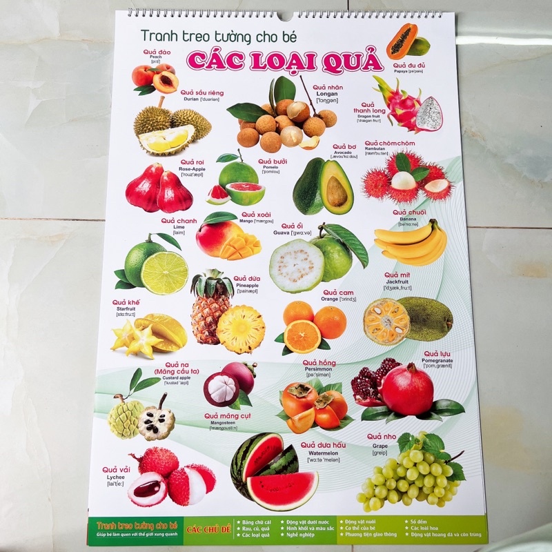 Tranh treo tường 12 chủ đề cho bé học - Tranh treo tường con vật, hoa quả, xe cộ