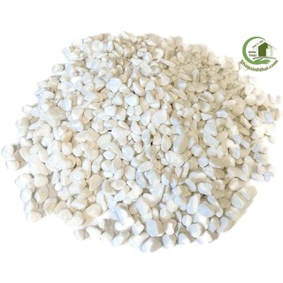 1kg đá sỏi màu trắng mini - đá  trang trí trồng cây - trang trí bể cá - sân vườn