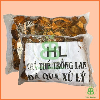 Xơ Dừa Miếng Trồng Lan