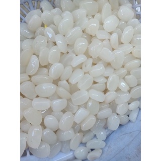 Hạt đác tươi Khánh Hoà