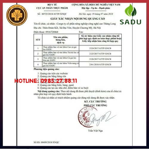 đinh lăng trà túi lọc sadu ⚜️FREESHIP⚜️ tăng cường tuần hoàn máu não