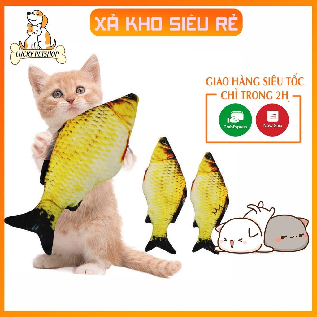 [ĐỒ CHƠI] CÁ NHỒI BÔNG CATNIP