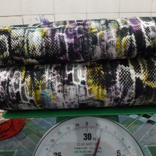 Vải thun thể thao