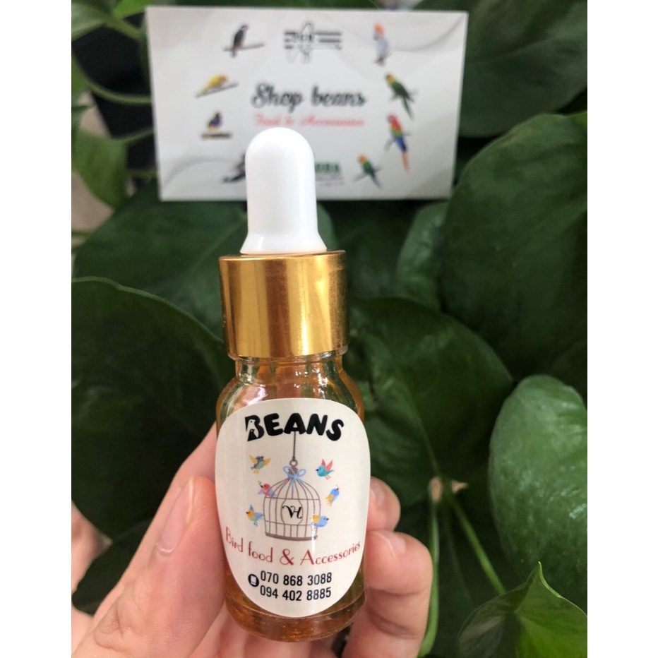 Scatt phòng khò khè, nấm chân cho chim hàng Vetafarm / Úc chai 50ml