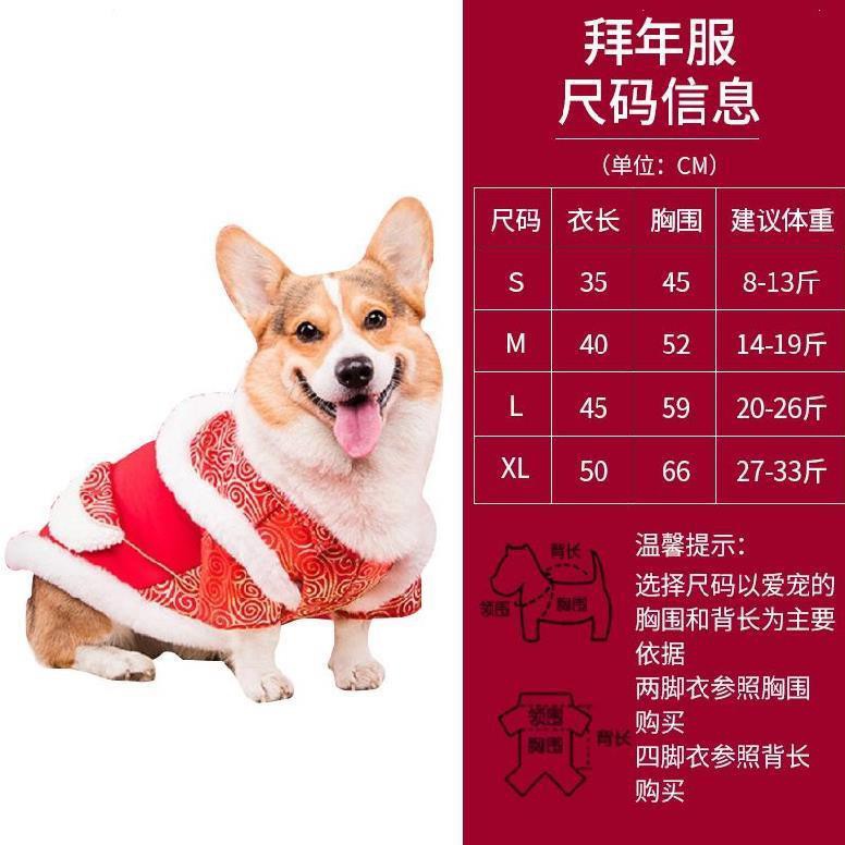 quần áo chó múa sư tử, lân lớn. Lễ hội mùa xuân mèo con cưng Satsuma cỡ trung thu và đông