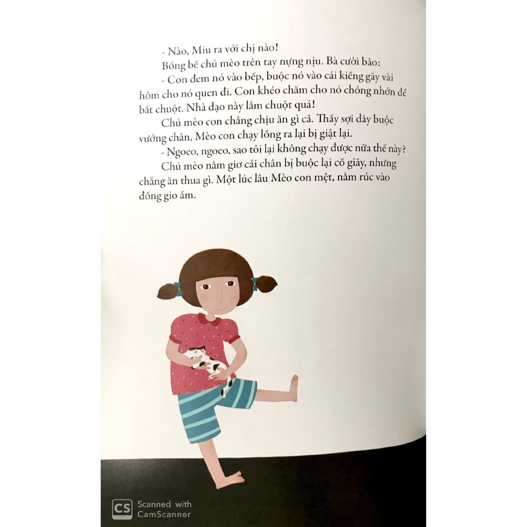 Sách - Cái Tết Của Mèo Con