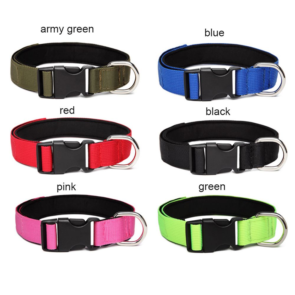 1 Vòng Đeo Cổ Màu Trơn Có Thể Điều Chỉnh Cho Thú Cưng Cỡ Vừa / Lớn / Lớn / Lớn / Nhiều Màu Sắc Tùy Chọn