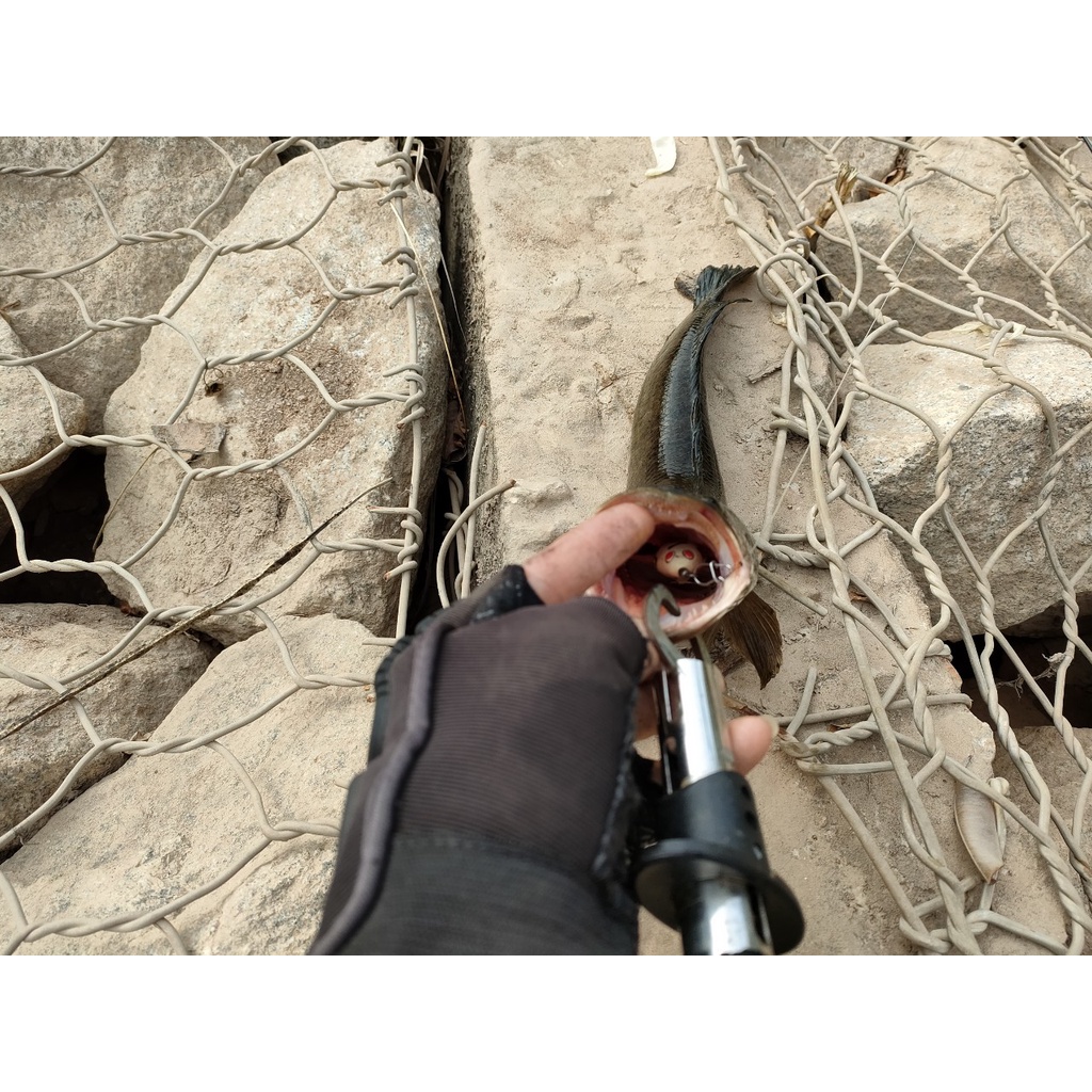 Nhái hơi VR vinh ròm fishing