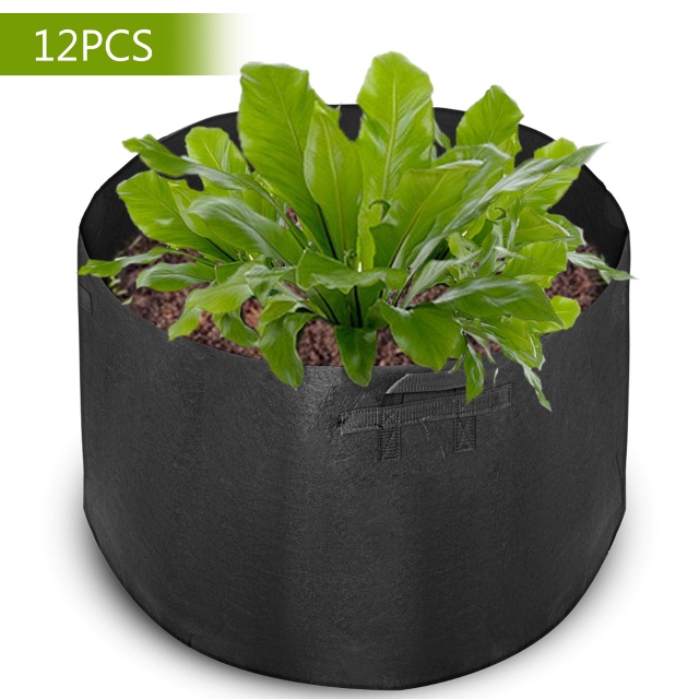 Tui` vải trồng cây 65 gallon