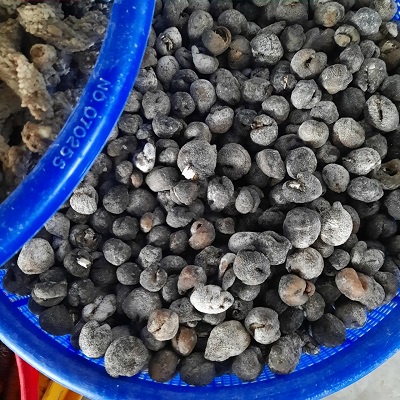 1kg HẢI SÂM dừa loại con nhỏ giá tận gốc