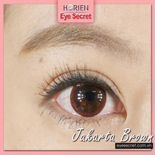 Kính áp tròng Eye Secret Contact lens màu JAKARTA BROWN