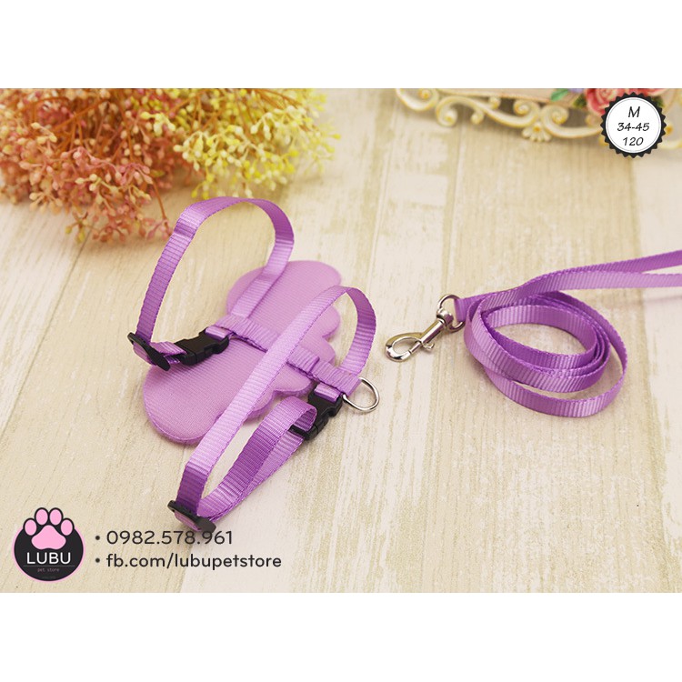 Dây dắt cánh thiên thần cho chó nhỏ