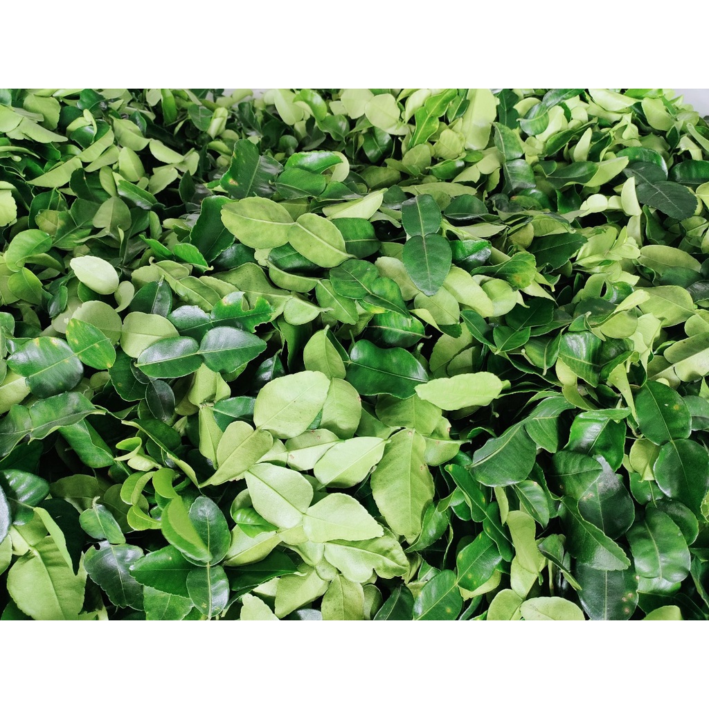 La chúc tươi 100g giá 20k