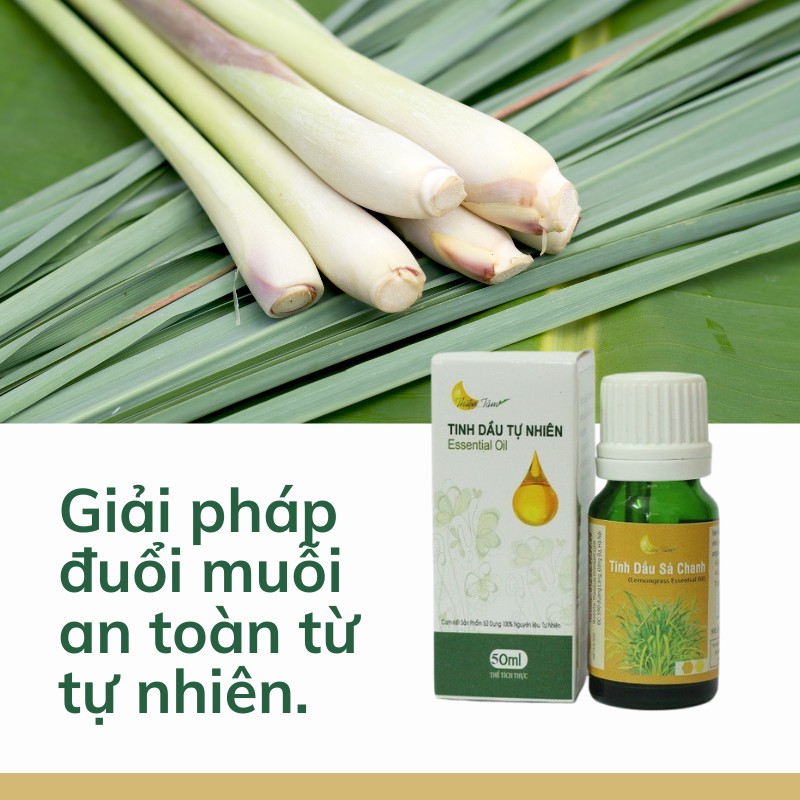 Tinh dầu sả chanh Thiện Tâm   Tinh dầu sạch 10ml / 30ml / 50ml  Lemongrass Essential