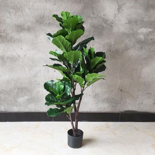 Cây bàng singapore giả 120 cm