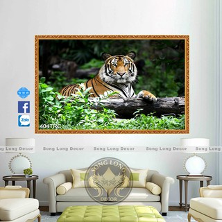 Tranh dán tường 3d ngoạ hổ, tranh dán tường con hổ - tranh con cọp