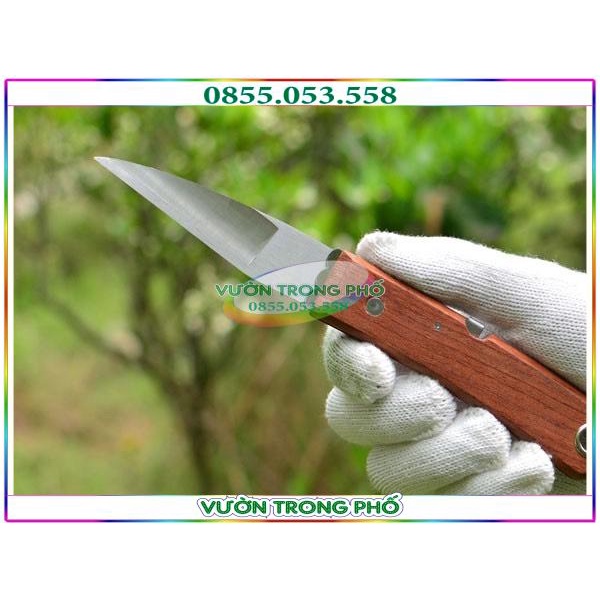 Dao chiết ghép cành cán gỗ- Dụng cụ Ghép Cây Chuyên Dụng - Chuyên dùng cho nhà vườn