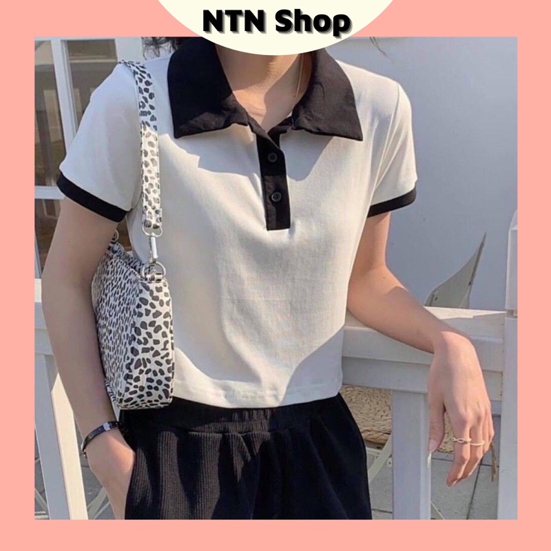 Áo PoLo Croptop phối viền nút gài- áo dễ thương cực.