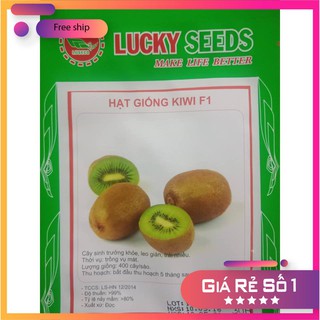 HẠT GIỐNG QUẢ KIWI 30 HẠT LUCKY.VN