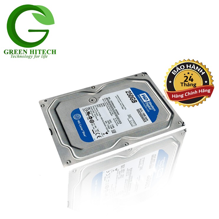 Ổ cứng gắn trong HDD WD Blue 250GB - Hàng Chính Hãng - BH 2 năm - 1 đổi 1 | BigBuy360 - bigbuy360.vn