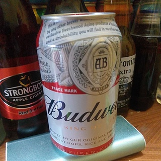 Budweiser beer (bia)